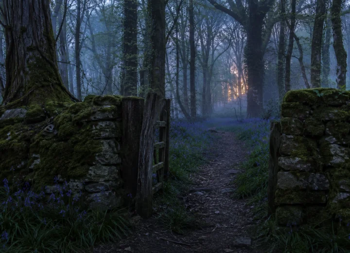 Fairies in British Folklore: Beyond Children's Books